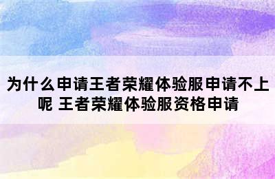 为什么申请王者荣耀体验服申请不上呢 王者荣耀体验服资格申请